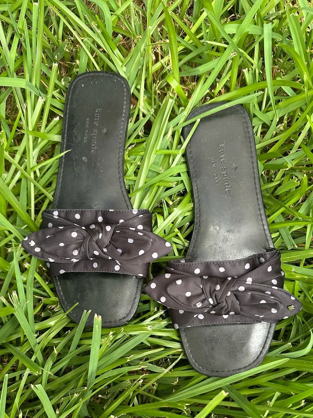kate spade great little